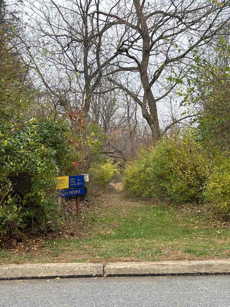 walking near me in Cool Valley Preserve in autumn