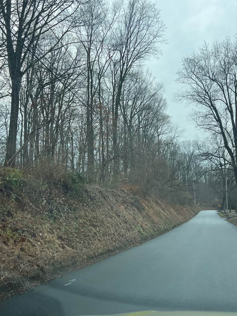 walking near me in Jane I. Reed Park in winter