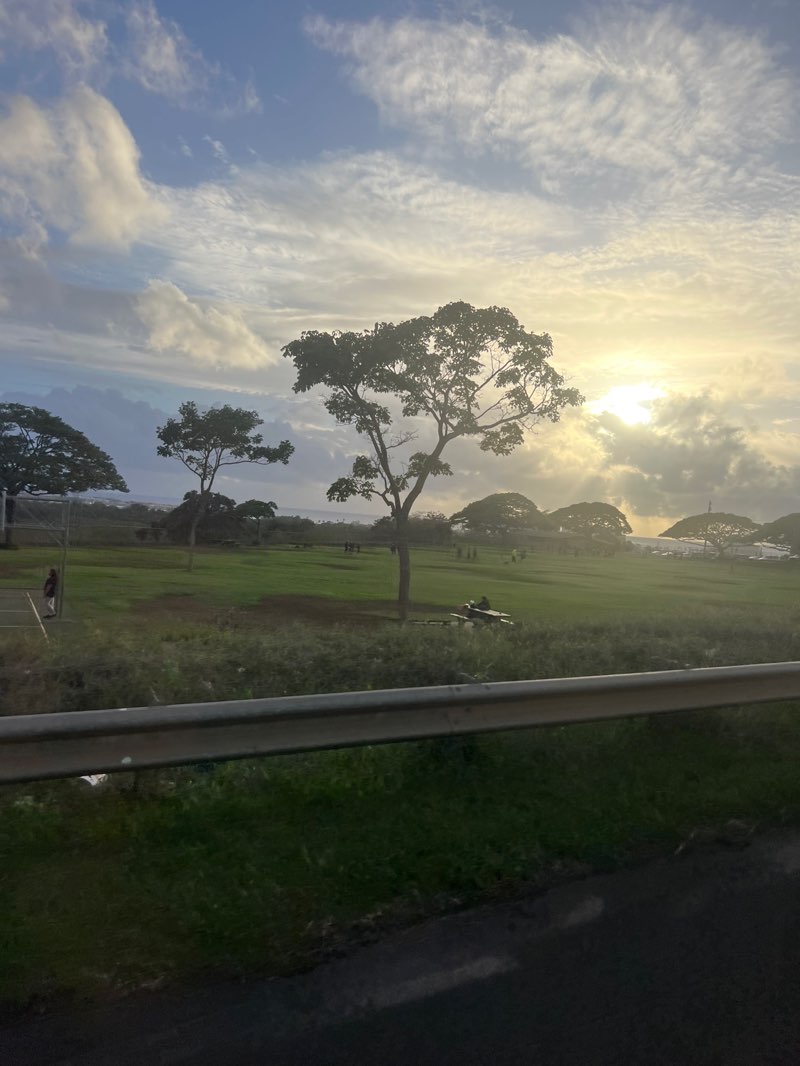 walking near me in Kamokila Community Park in winter