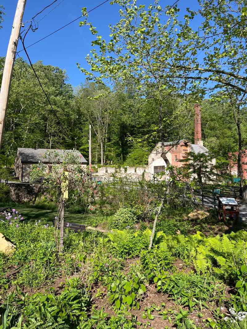 walking near me in Bondsville Mill Park in spring