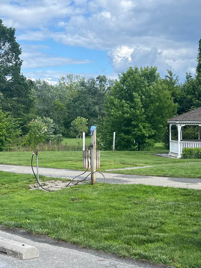 walking near me in Lloyd Park in spring