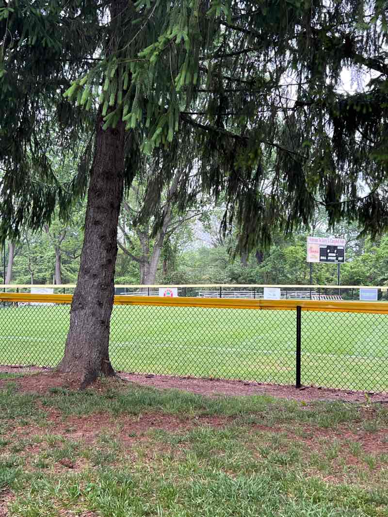 walking near me in Meadowbrook Park in spring