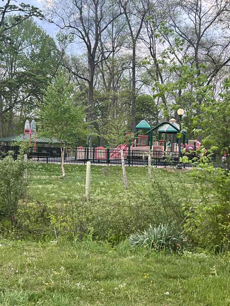 walking near me in Kerr Park in spring