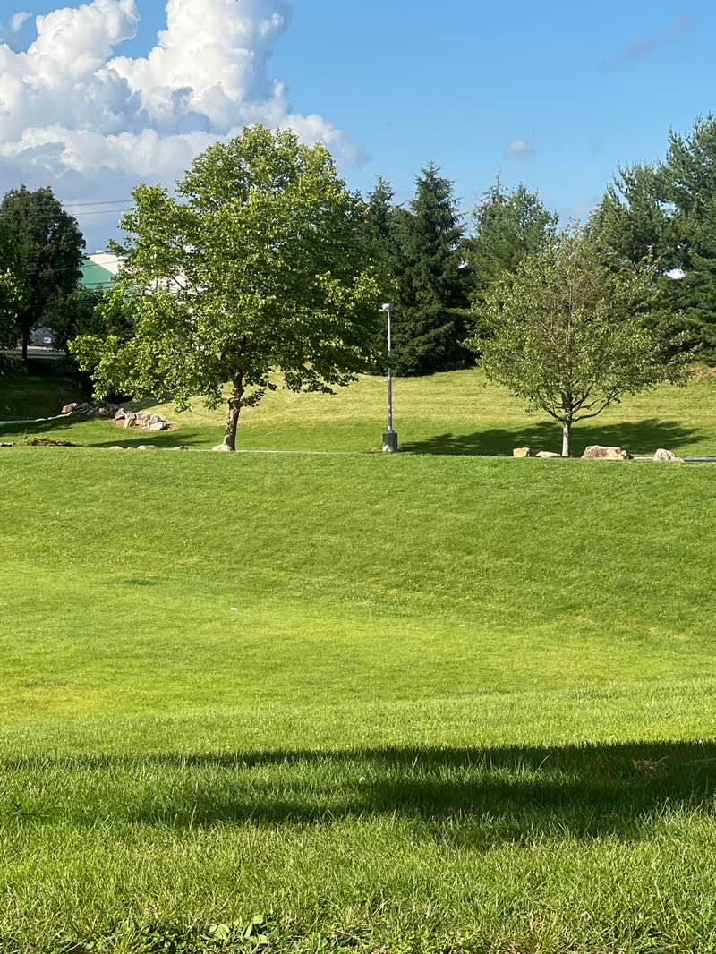 walking near me in LYA - Target Field in summer