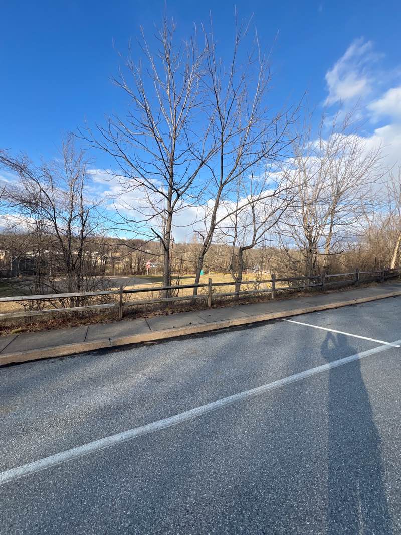 walking near me in Beacon Hill Park in winter