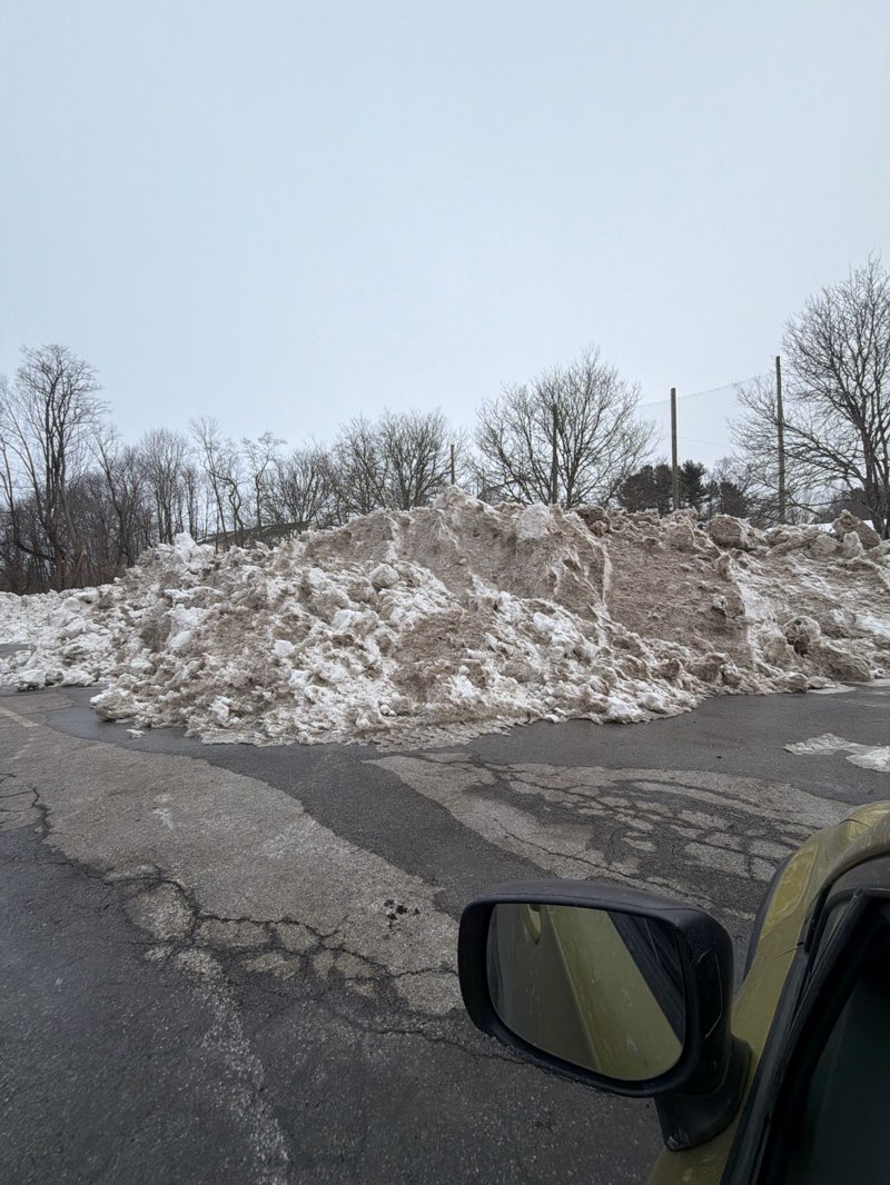 walking near me in Hoopes Park in winter