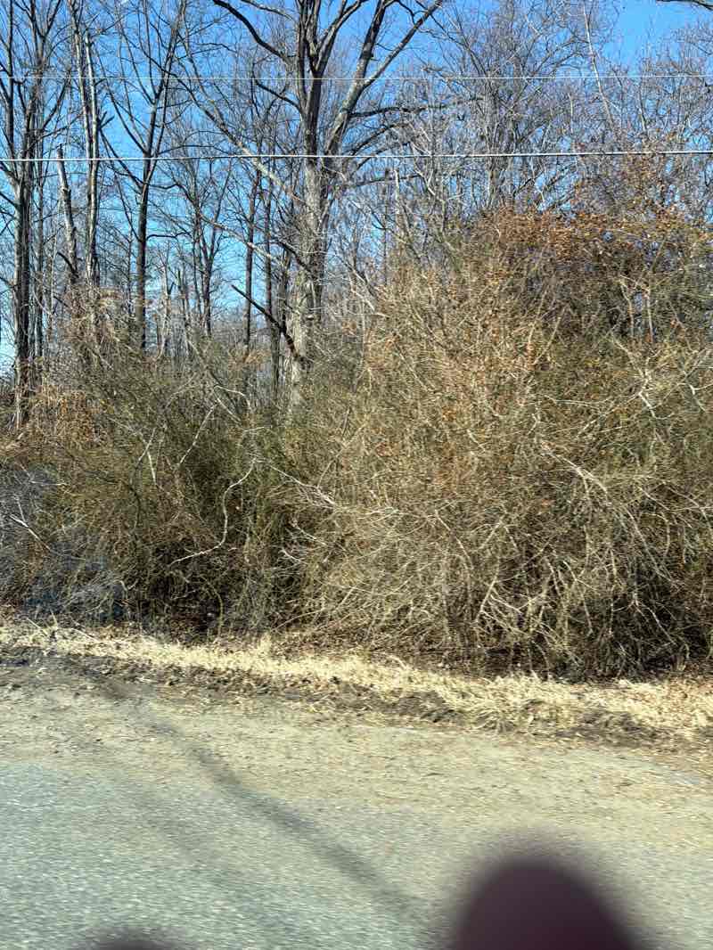 walking near me in Emma Rockey Park in spring