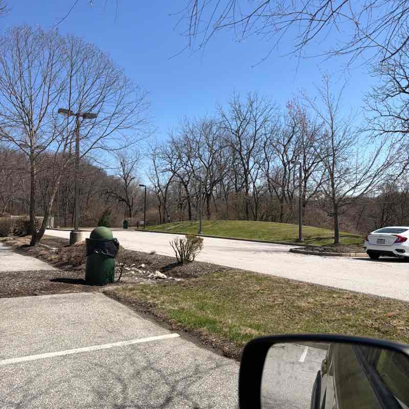 LeopardMon 🚶‍♀️    🚶🏾🚶🏾🚶🏾 post 1