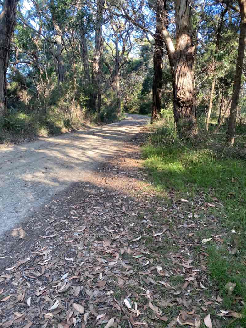 walking near me in Balnarring Racecourse & Emu Plains Reserve in summer