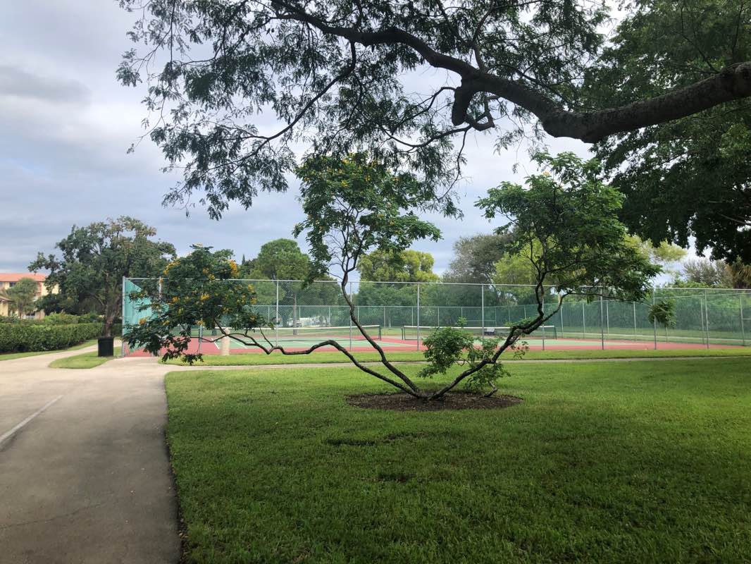 walking near me in Ecidar Park in winter