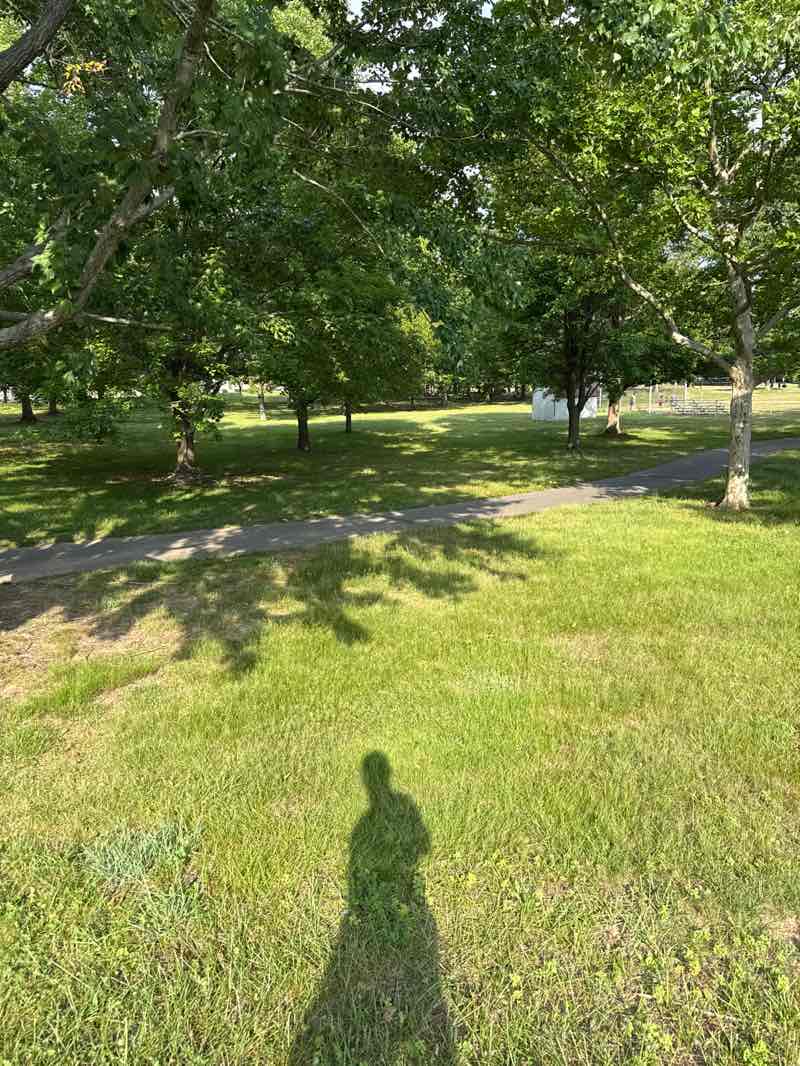 walking near me in Morris Davison Park in summer