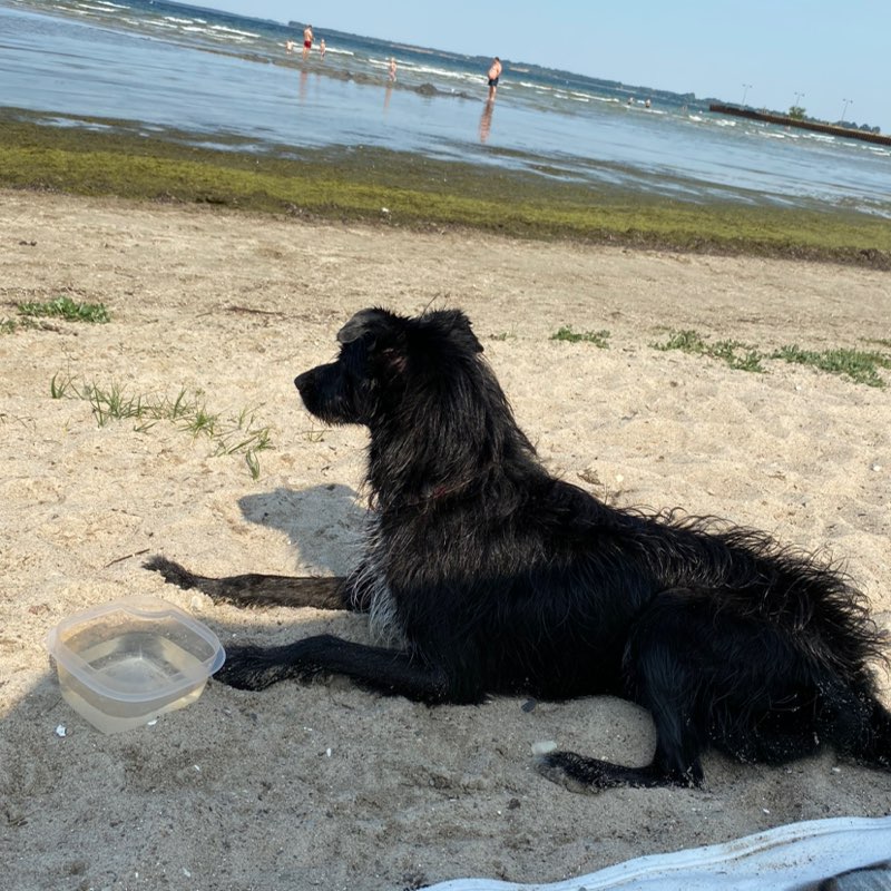 yvi aus MV🙃 profile