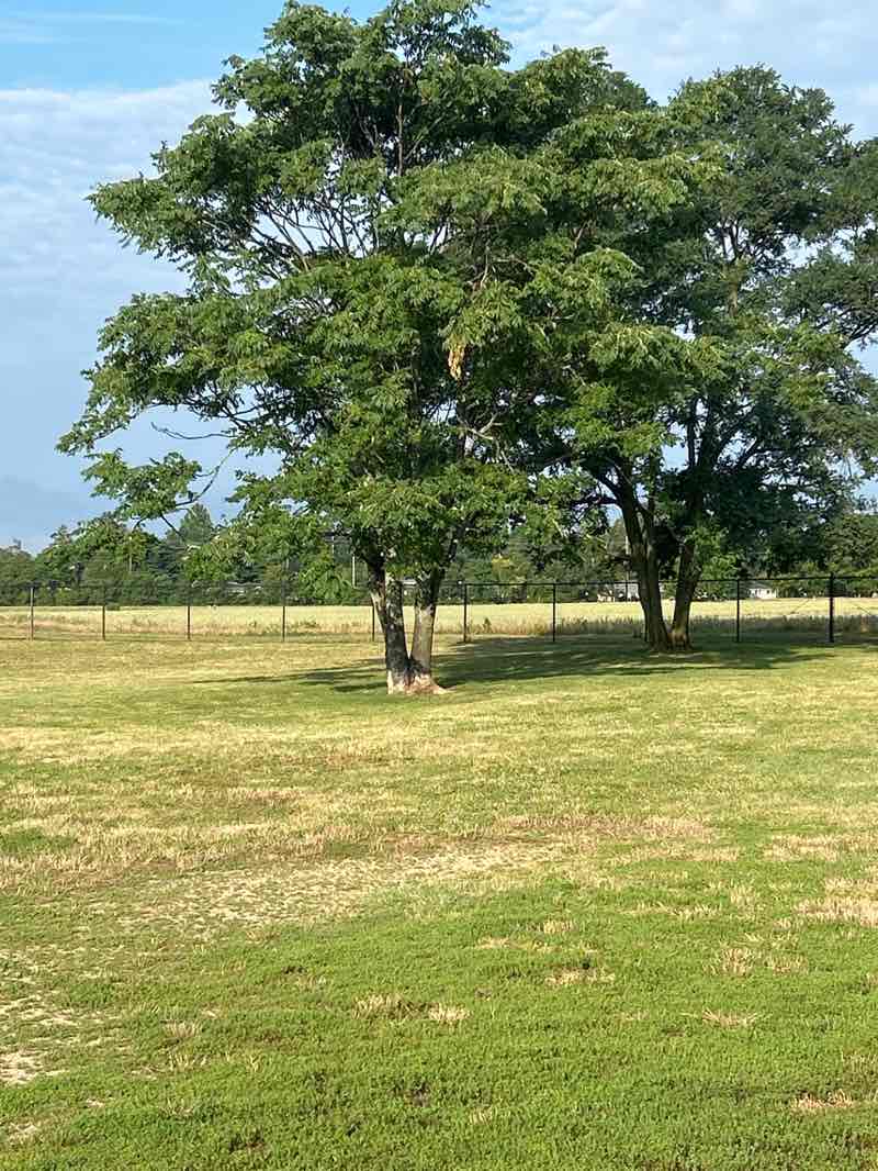 walking near me in Wolf Hill Recreation Area in summer
