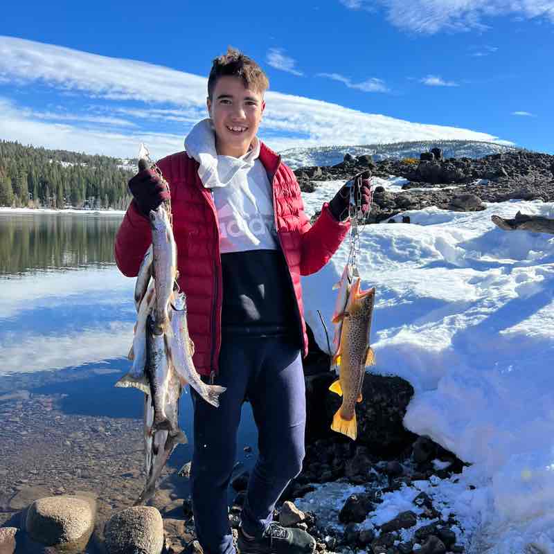 🇺🇦ks.Past post 1