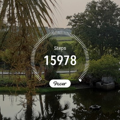 Walker🇮🇱🇮🇱🕊 post 1