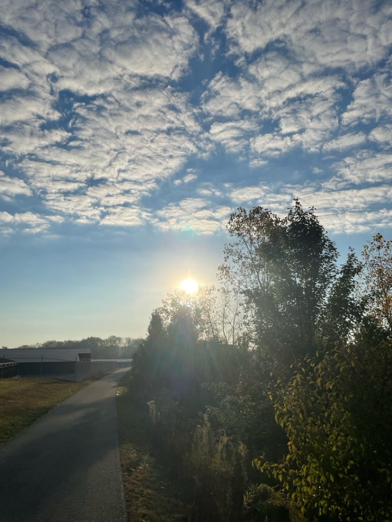 walking near me in Morches Park in autumn