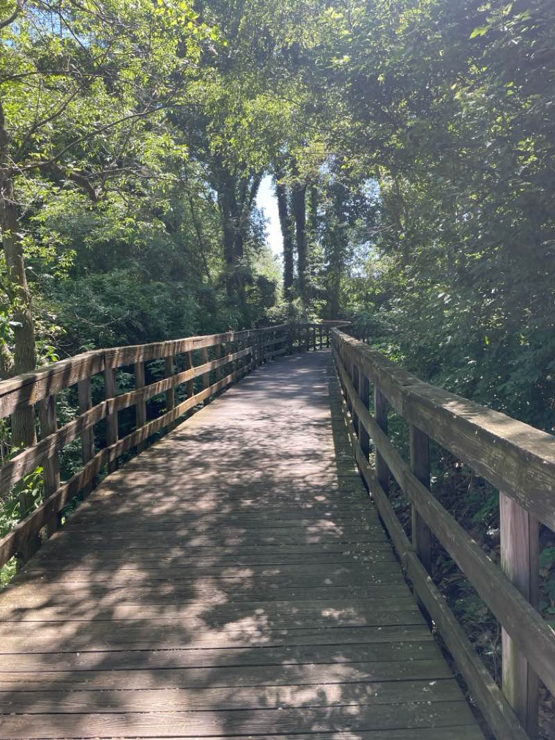 walking near me in Pike Lake in summer