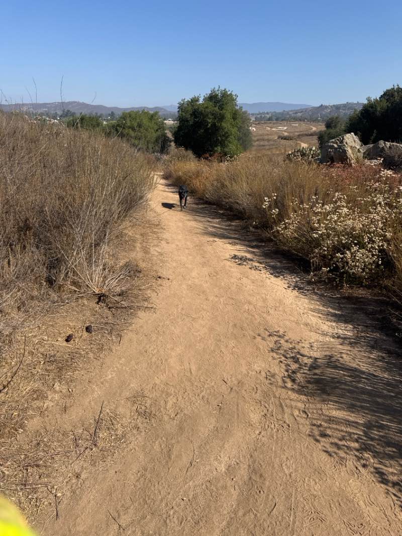 walking near me in Ramona Community Park in autumn