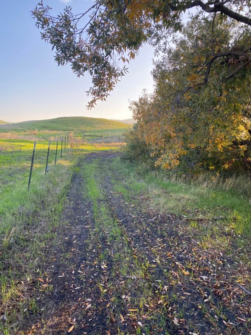 walking near me in Gentrytown Park in winter