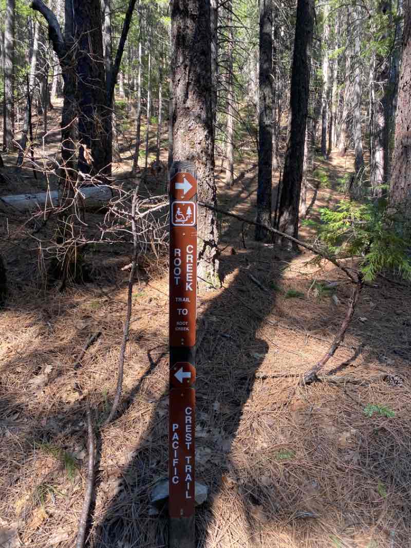 walking near me in Castle Crags State Park in winter