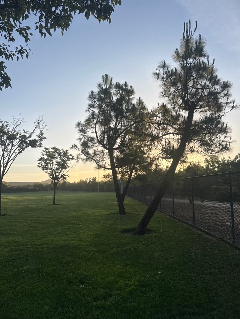 walking near me in San Ramon Sports Park in summer