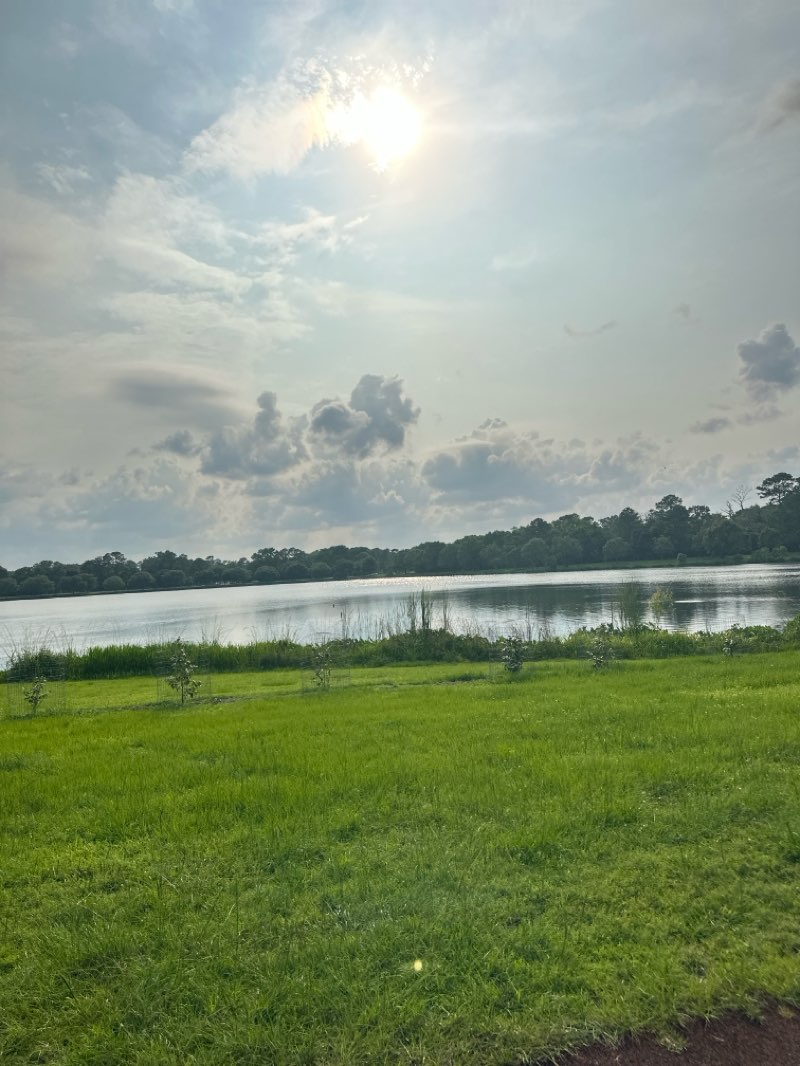 walking near me in Lake Mayer Park in summer