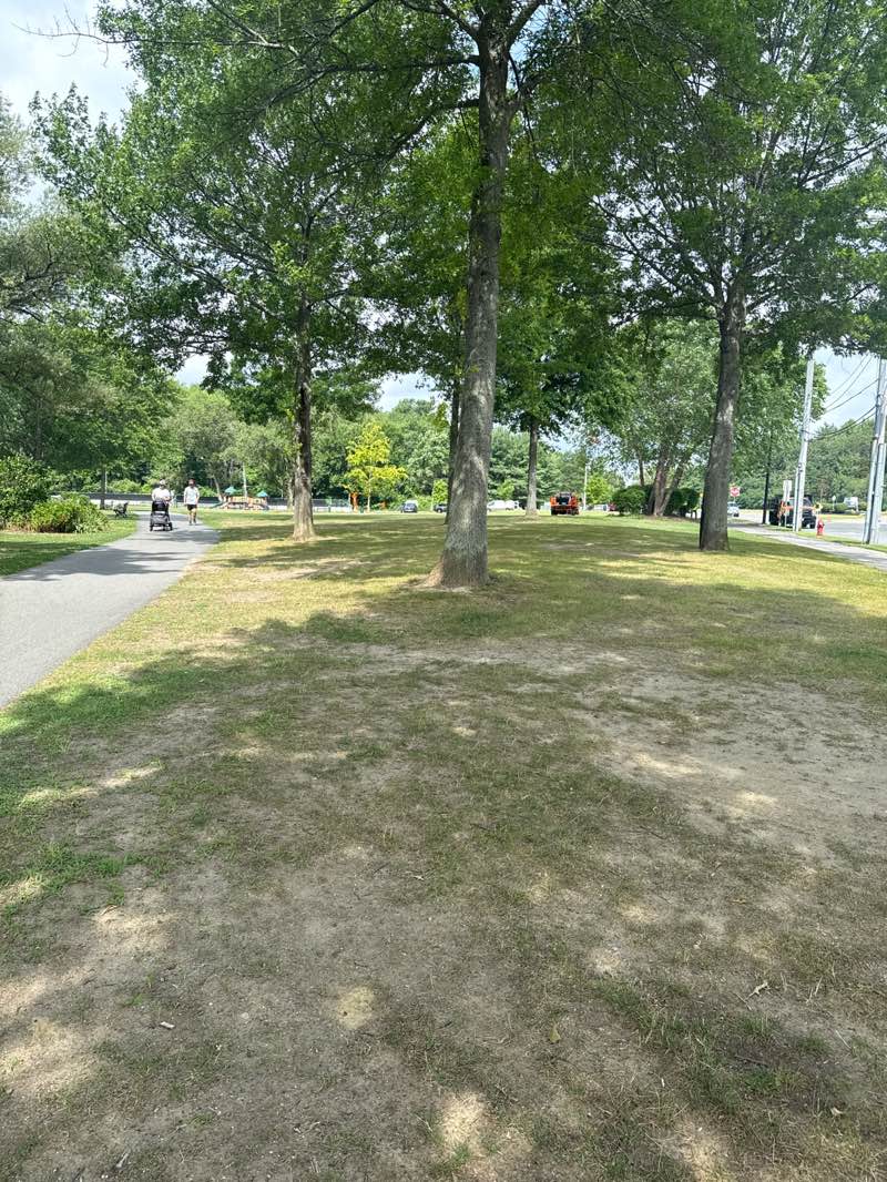 walking near me in Colonel Connelly Park in autumn