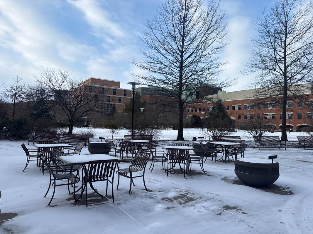 walking near me in Kaminski Park in winter