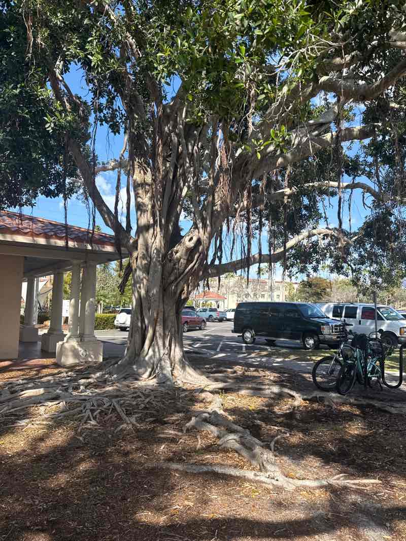 walking near me in Centennial Park in spring