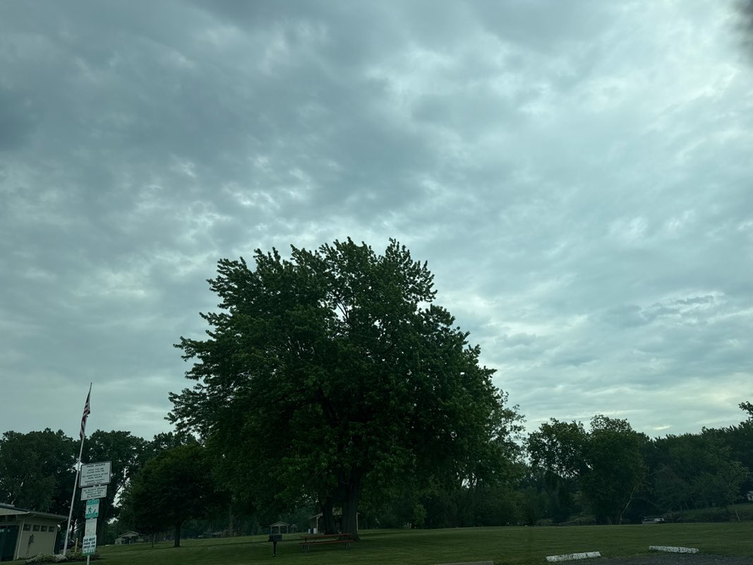 walking near me in West Canal Park in summer