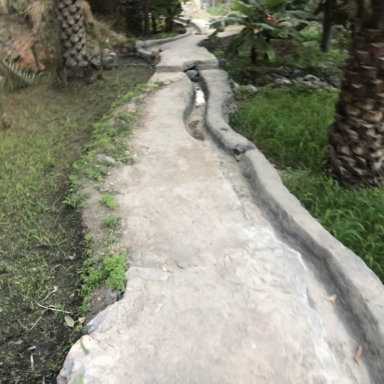 faisal.alabri post 2