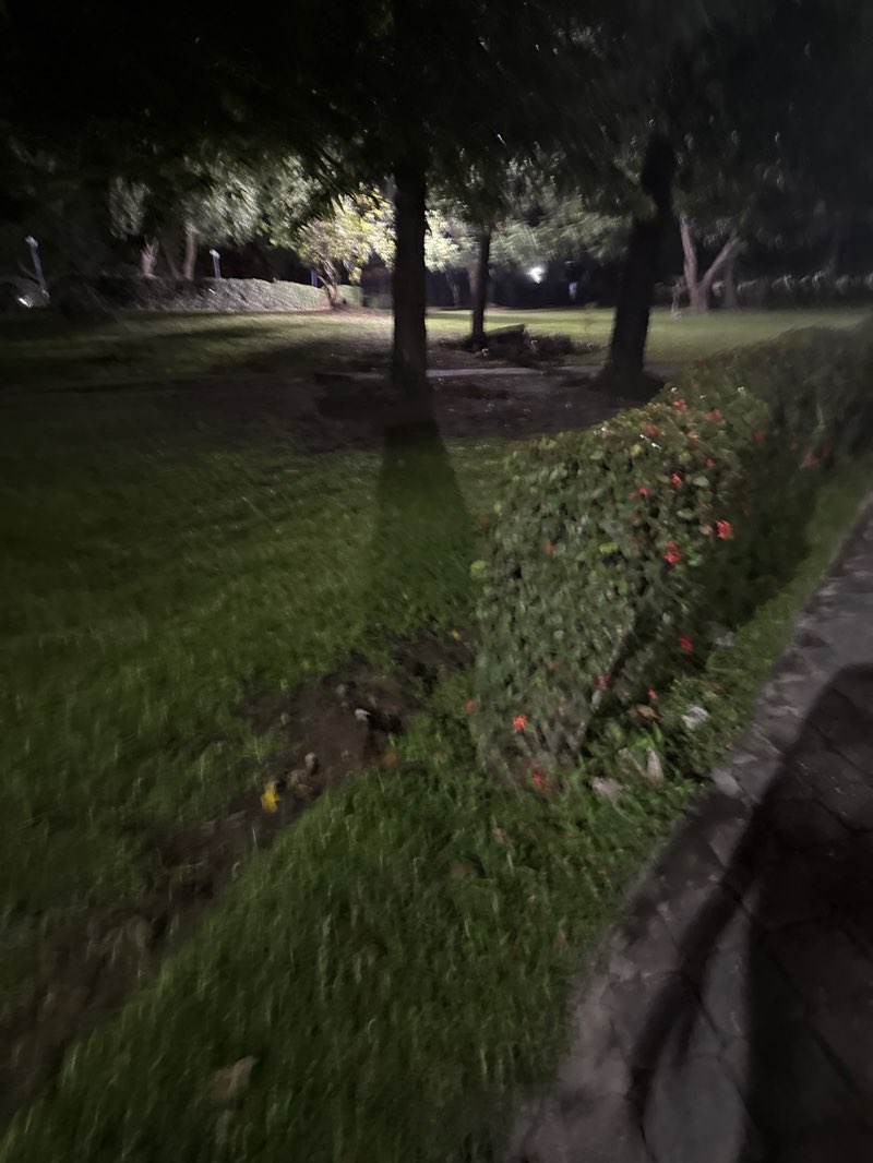 walking near me in Victoria Garden City Recreational Park in autumn