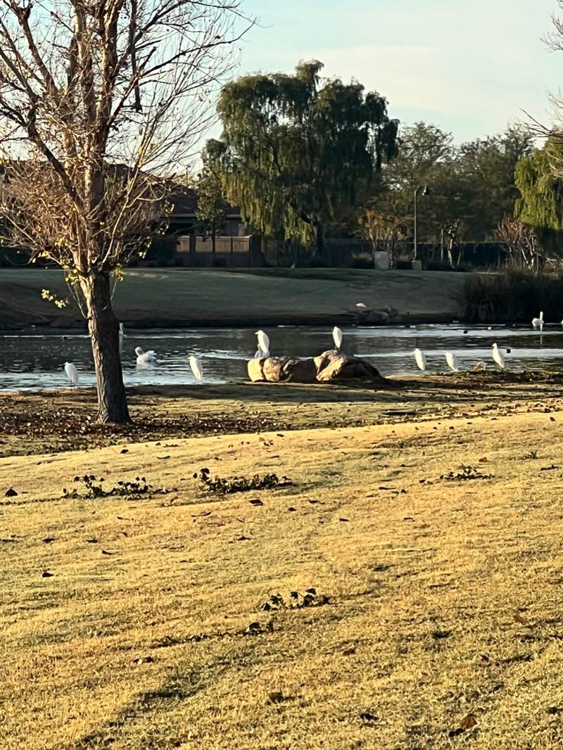 walking near me in Roadrunner Park in winter