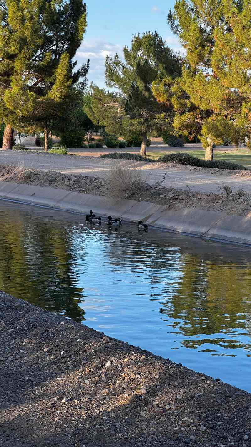 walking near me in Roadrunner Park in spring