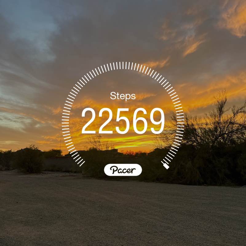 Free Strides dslexpress post image