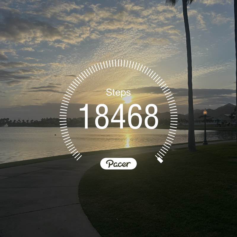 Free Strides dslexpress post image