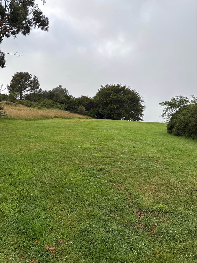 walking near me in Victoria Park in autumn