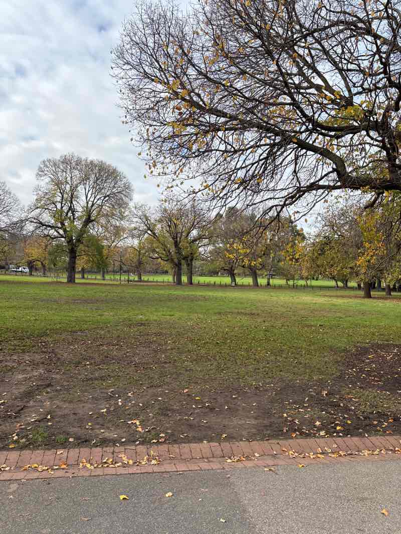 walking near me in Yarra Park in winter