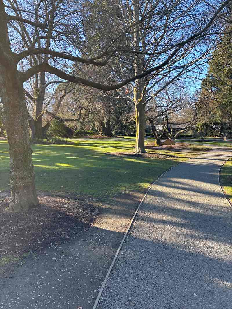 walking near me in Ashburton Domain in winter
