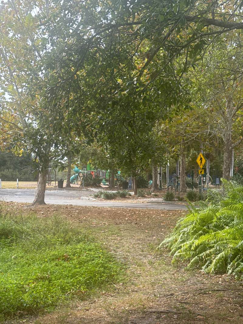 walking near me in Datsko Park in autumn