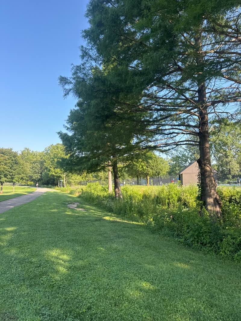 walking near me in Olentangy River Parklands in summer