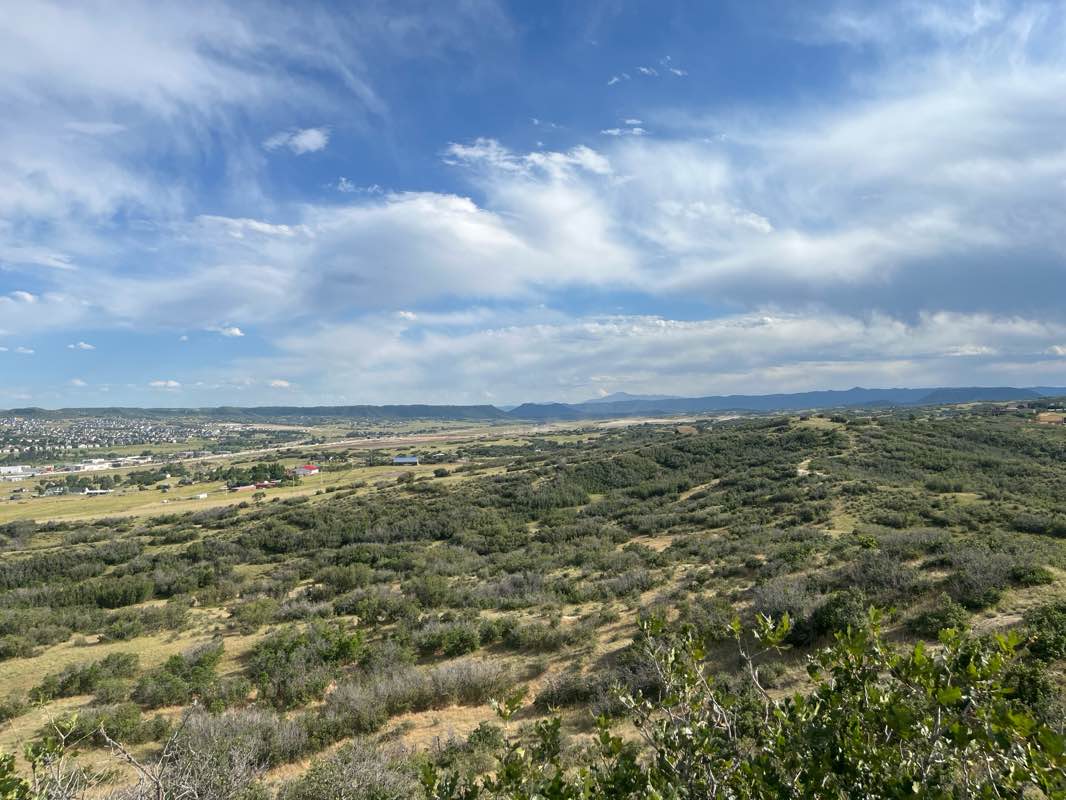 walking near me in Philip S. Miller Park in summer