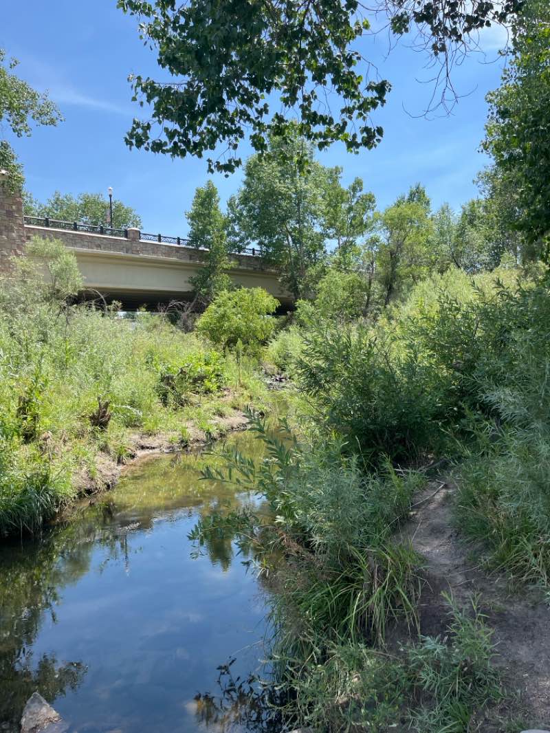 walking near me in Festival Park in autumn