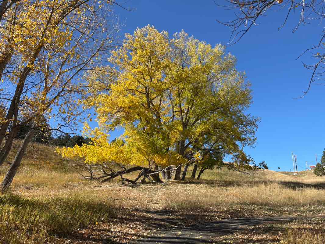 walking near me in Stagecoach Park in autumn