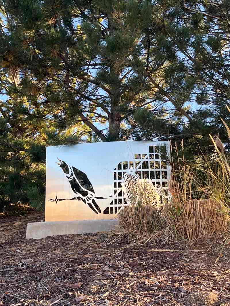 walking near me in Bluffmont Park in autumn