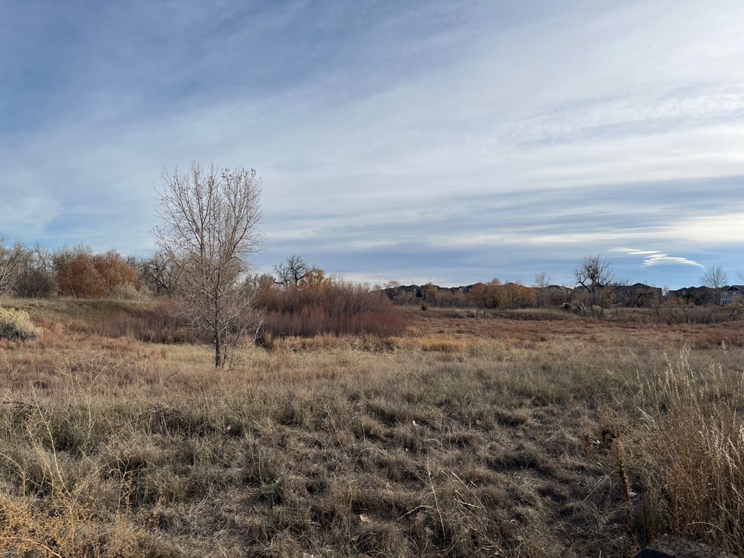 walking near me in Cottonwood Trailhead in autumn