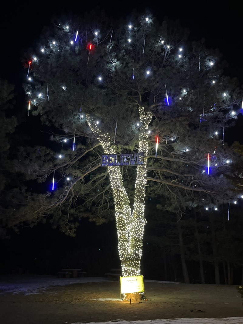 walking near me in Larkspur Park in winter
