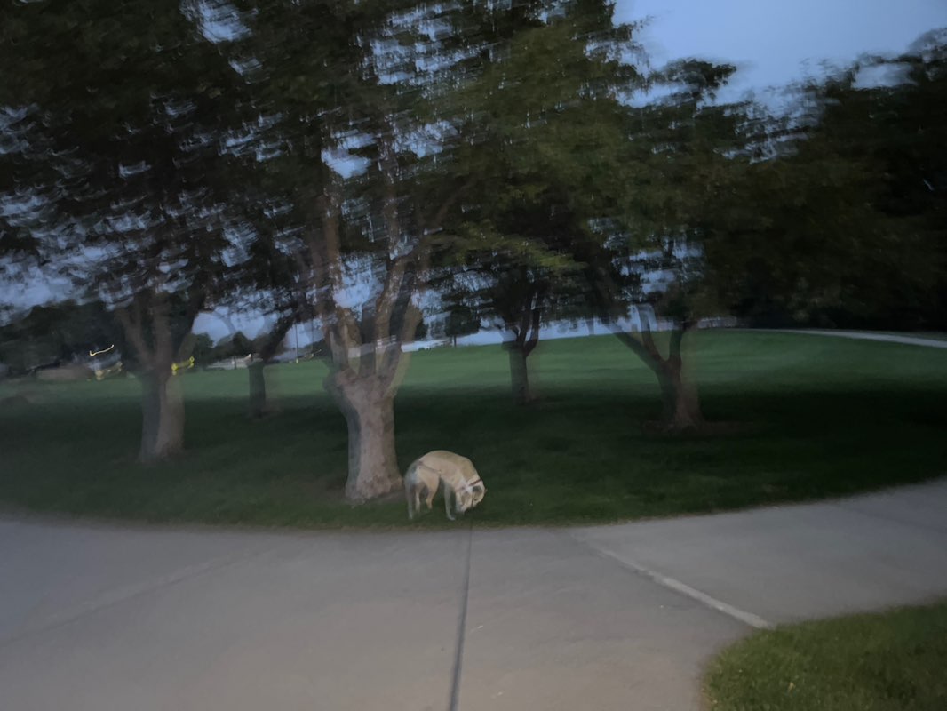 walking near me in Butterfield Crossing Park in autumn