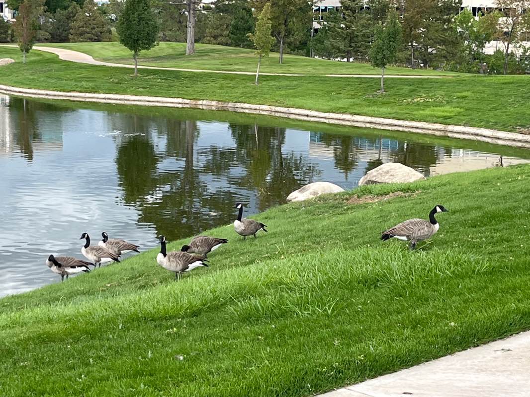 walking near me in Meridian Park in autumn