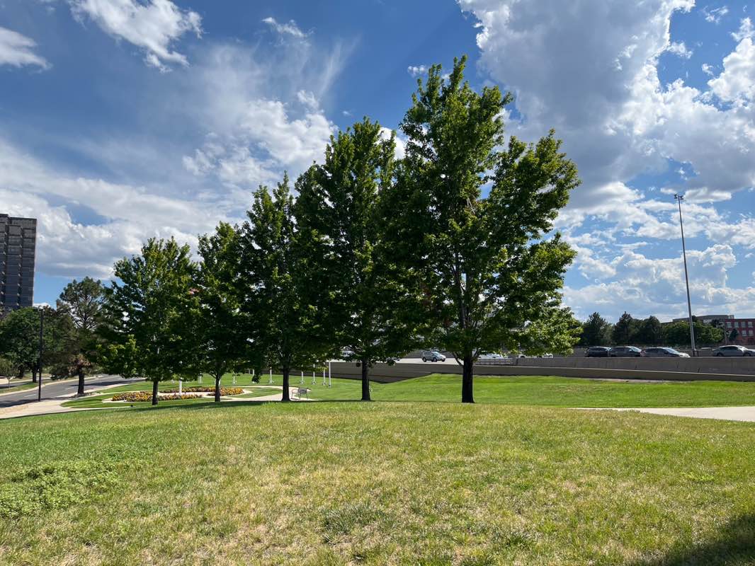 walking near me in Bullock Park in summer